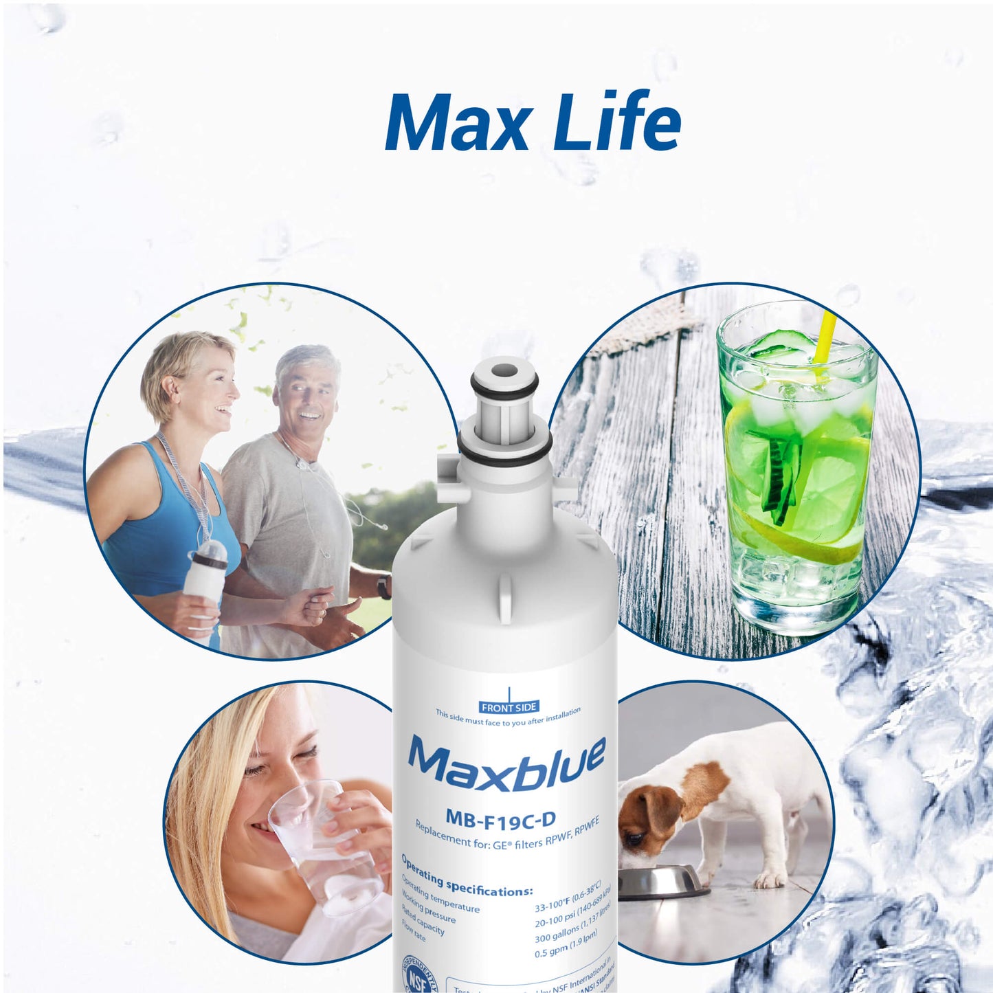 Maxblue RPWFE (with CHIP) Refrigerator Water Filter Replacement for GE® RPWFE