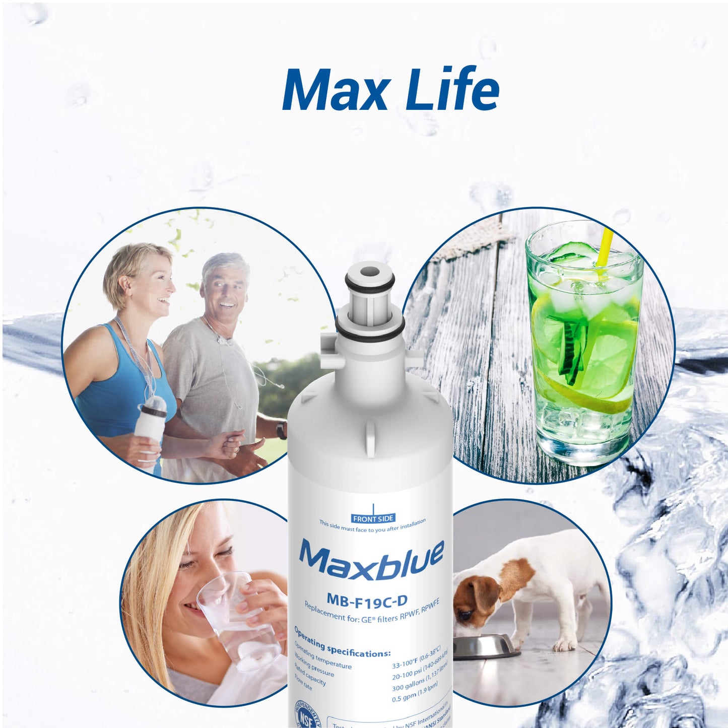 Maxblue RPWFE (with CHIP) Refrigerator Water Filter Replacement for GE® RPWFE